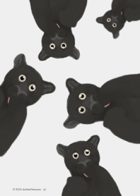 野貓家族: 黑豹