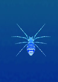 Simple cool spider blue