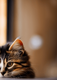 Nyanko Great Runaway#mihad2315