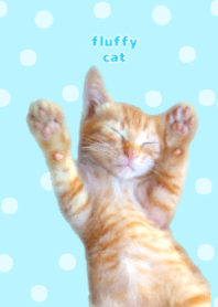 fluffy cat (Polka dots , sky Blue)