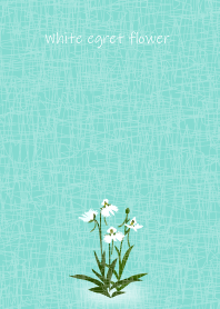 August's birth flower,White egret flower