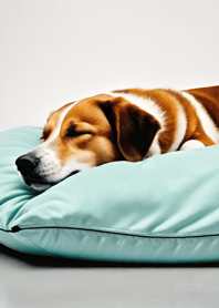 Bright Moon and Dawn AD3134