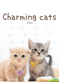 Charming cats from Japan