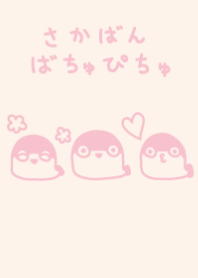 sacabambatyupityu dull color pink