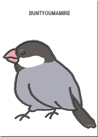 Full of Java sparrows G