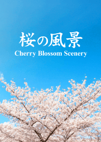 "Cherry Blossom Scenery vol.6" theme