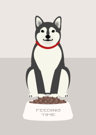 ごはんの時間 - 黒柴犬 -