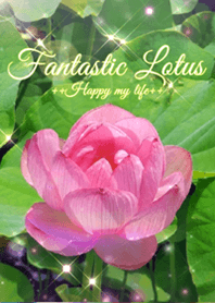 Fantastic Lotus