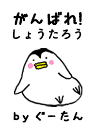 「しょうたろう」専用着せかえ by ぐーたん