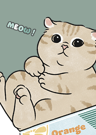 neko single19 / dusty green