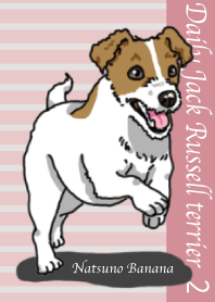 Daily JRT( Jack Russell terrier) 2