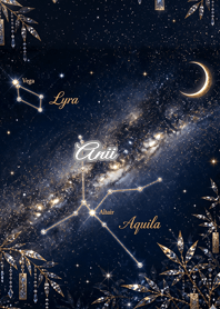 Summer Constellation: Anii