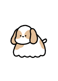 cute American Cocker Spaniel