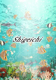 Shigeichi Coral & tropical fish2