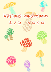 Various mushroom