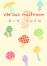 キノコ イロイロ