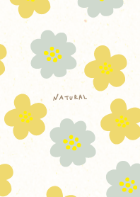 Two types of colorful flowers30 Japan