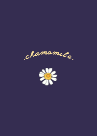 Flower : Chamomile