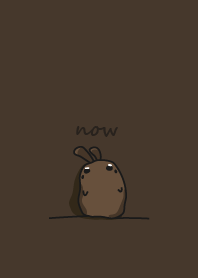 rabbit staring -166 - dark