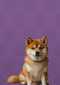 Cute Shibainu Theme Purple 05