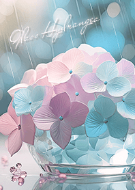 pink Rain and shining hydrangeas05_2