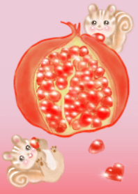 Pomegranate and squirrel