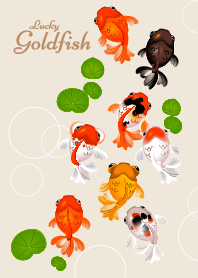 The Lucky Goldfish