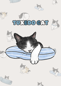 tuxedocat4 / light beige