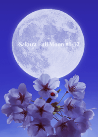 Sakura Full Moon #1-12