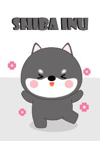 Cute Cute Black Shiba Inu Theme