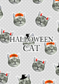 Halloween cats theme