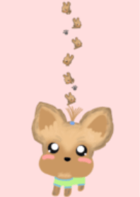 ヨークシャーテリア犬