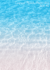 Tropical Beach Photo 279 Not AI