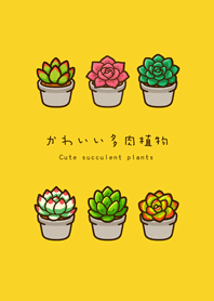 My succulent plants(egg yellow)