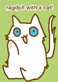 Ragdoll with a cat!