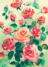 Beautiful rose flower(R4926)