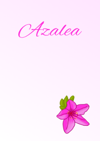 花シリーズ Azalea