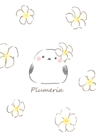 Shimaenaga&Plumeria:white
