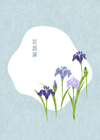Japanese irises