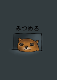cat-gaze-deep