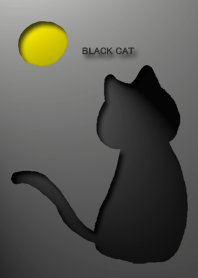 黒猫の陰