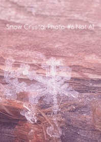 Snow Crystal Photo #6-20Not AI