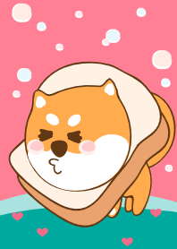 Lovely Shiba inu 22 ^^
