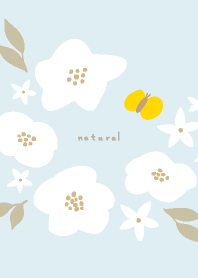 Bouquet of white flowers for you26 Japan