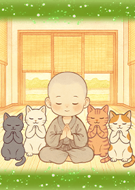 療癒生活-小和尚與貓咪們1G 抹茶葉綠色