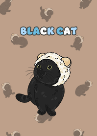 blackcat5 / light mocha .jp