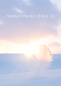 Winter Photo #9-6 Not AI