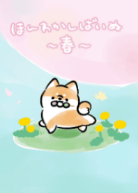 ほんわかしばいぬ～春～