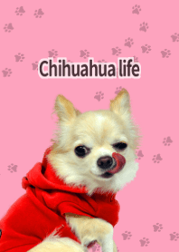 Chihuahua life Red