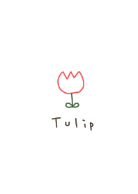 Line drawing tulip. white.
